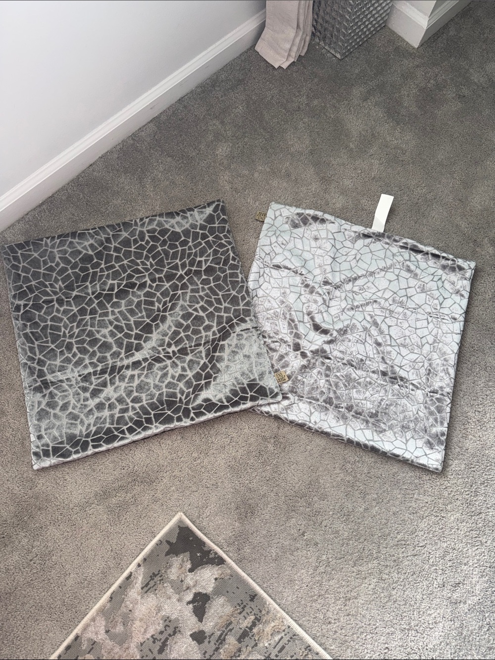Pillow cover set of 2